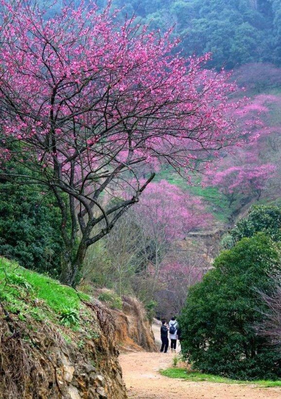“一路通畅，生活充满希望”（新春走基层）