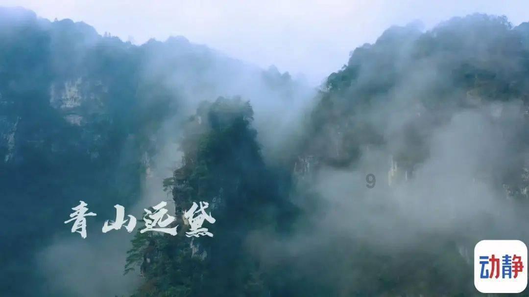 公主的阅读区