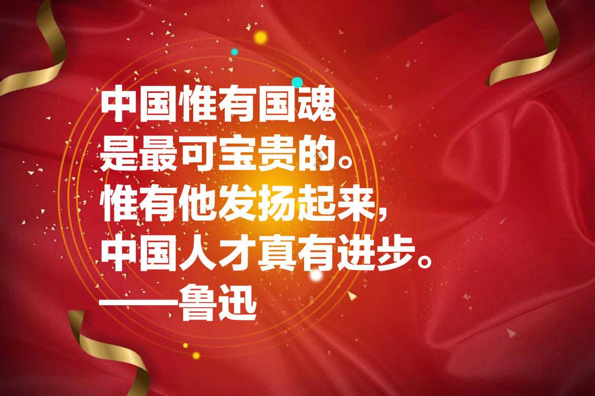 救援呆萌的猫